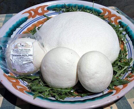 fa4f6ffa-f5f9-4eb8-9f08-ffb3880c434f