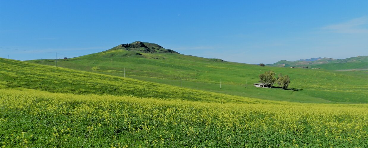 d5633f42-6ffa-489b-8699-8a32d51642c0 d5633f42-6ffa-489b-8699-8a32d51642c0