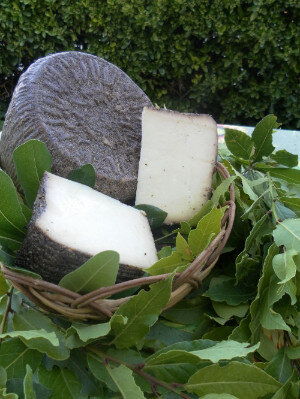 9e110abc-a62d-4363-85e8-f4b69abd3382