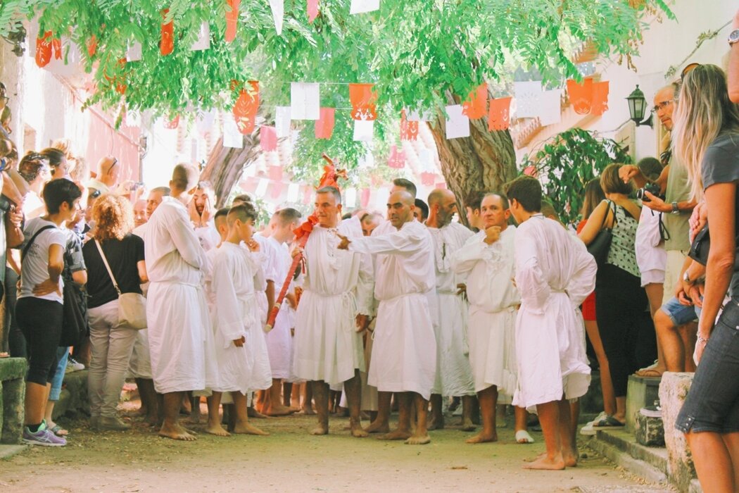 03605221-368d-44d6-966f-902a7309552e