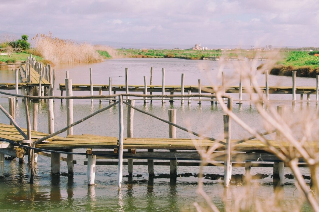 44169da6-1615-4660-94b9-64152cc8f48a