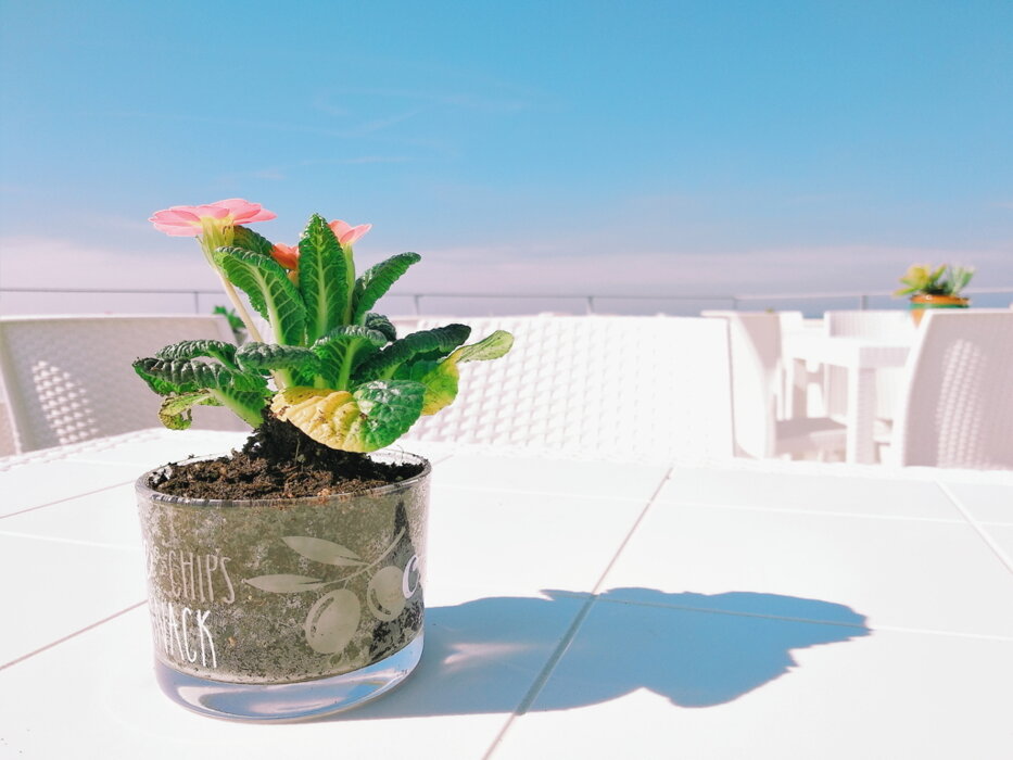 6769315c-85f6-404e-9508-d22f7fc3b6f4 6769315c-85f6-404e-9508-d22f7fc3b6f4