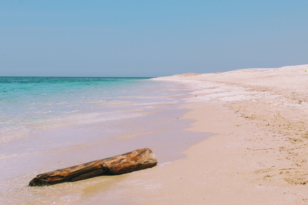 dba71c0d-61d5-41cb-98ef-c68e8609a1d2