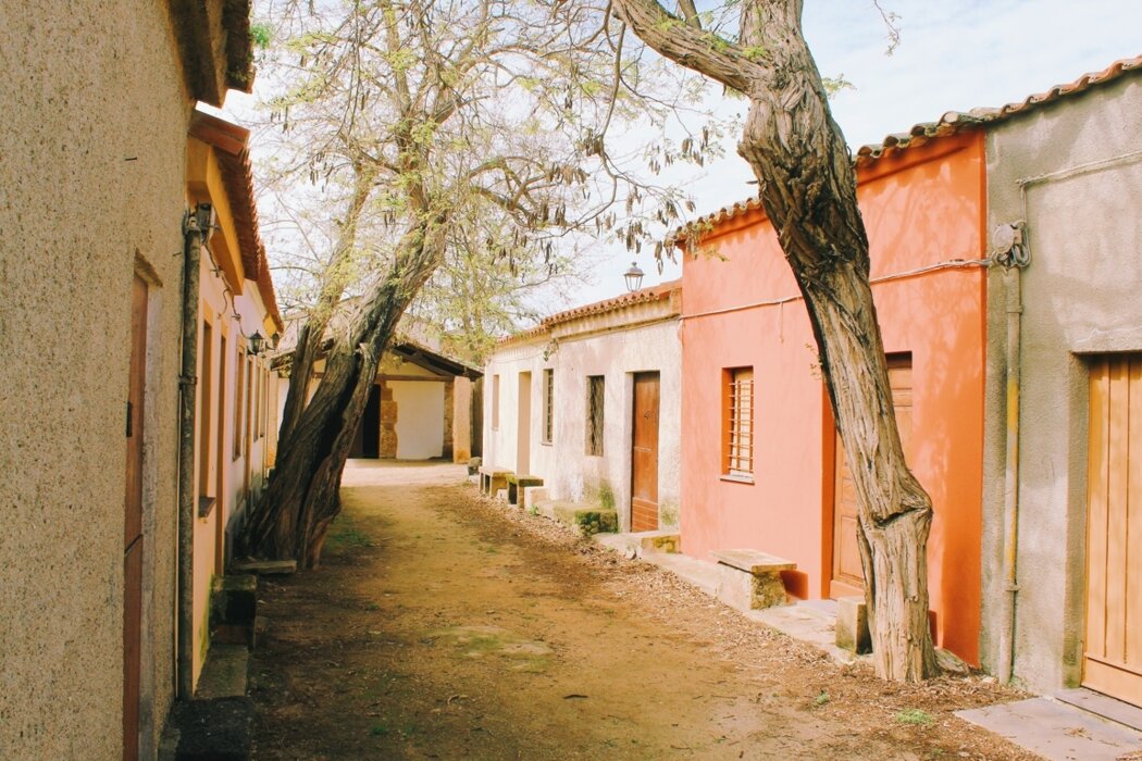 c43d525f-3dc6-4f68-a912-a1c4c1e21bb6