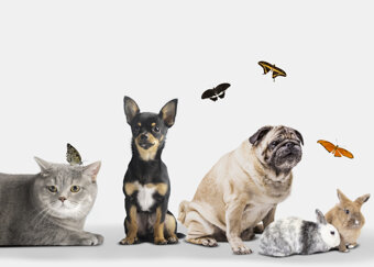 aae7ac79-b817-418c-966e-5fae1b1adcd5