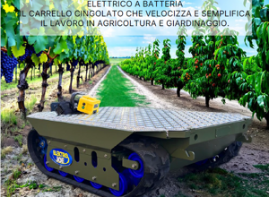 agricoltura%202 agricoltura%202