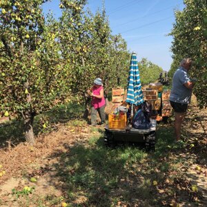 ab16e866-3ad0-4979-b7ec-3b1ee65a7fdc.jpeg ab16e866-3ad0-4979-b7ec-3b1ee65a7fdc.jpeg