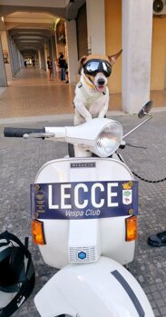 euclide_mascotte.jpeg