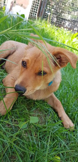 797d43b4-c79b-4dcd-ae22-d6633c0b6e80 797d43b4-c79b-4dcd-ae22-d6633c0b6e80