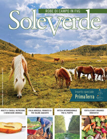 f2a528e9-9f10-4178-8515-b207c9f84be8