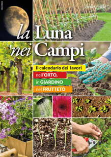 eafd5515-5919-475a-ae21-eb49b9560410