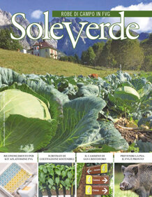 e2a3180d-aaf5-4c05-b4ed-77eebc2bd023