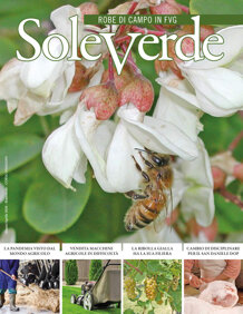 a2a95bdd-e346-481d-b9b2-e340a829510e