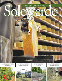 21ca8b48-1f83-40a5-8679-ec5f3d345da8