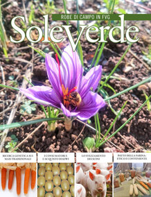 1fe0dec5-9b22-4185-9c2f-77e83cc44fd8