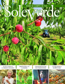 43bd49b2-4ee6-4cb8-bf60-de3708a57431