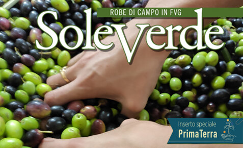 soleverde sett-ott 2026 sito.jpeg