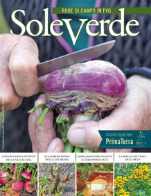 2e86949d-0227-4efa-8a5e-eb1fb81fa06e