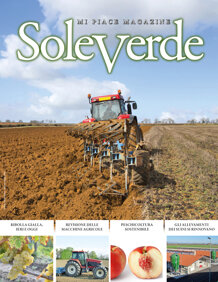 863a47ab-5923-4cab-9446-790c9454c894