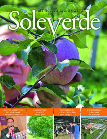 5558d5f4-14aa-4965-927a-2f64a6772ab2