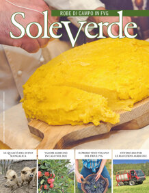 69131fd1-34d6-4020-af80-47f1c8a5ab2a