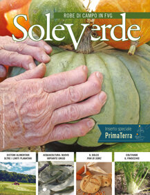 06 soleverde novembre-dicembre 2025 cop.jpeg