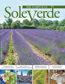 9d4ebc60-1e7e-4698-8c5a-d8ddca3fd2bb