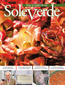 af2c00a4-e741-4a33-b5b6-e32245e9caea