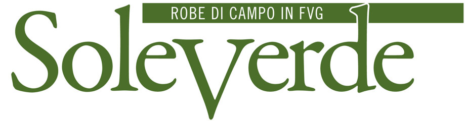 logo soleverde verde.jpeg logo soleverde verde.jpeg