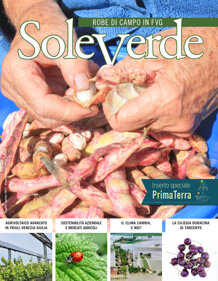 2eb26282-df23-41f2-b4cf-f0178a567ffd