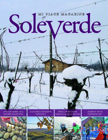 95080059-6414-4612-8f2a-562e6d485c45