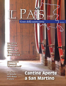 e88958b9-bb91-4a2b-864f-ab9b3dcc8b7a