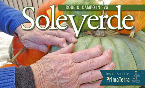 soleverde nov-dic 2025 sito.jpeg