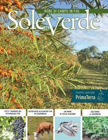 8db57beb-1820-4d18-9f2a-3b611b916928