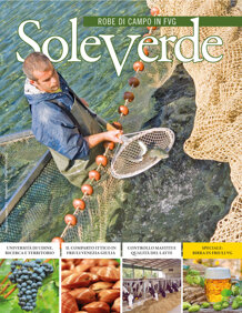 d6c43e0f-553b-43ce-a3af-c9675526e2eb