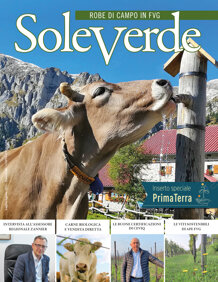 7b91eae1-0a3b-4ab3-9ffb-7eda7c0f5401