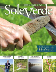 03 soleverde maggio-giugno 2026 copertina.jpeg