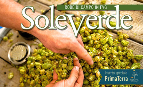 soleverde lug-ago 2026 sito.jpeg