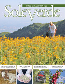 f1d99da1-8241-436c-ac2e-105d566611d9