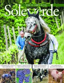 84009f7a-cce6-4b9c-bbc8-434fc78f61e9