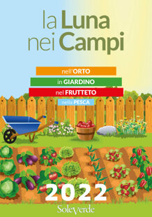 45cfe855-fa4a-4724-a87c-397c7ba3106d