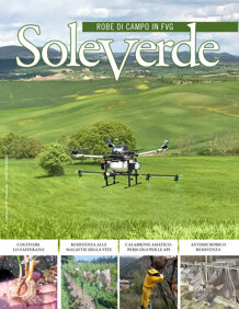 3c81df76-c0b7-417f-9751-e33a838286d1