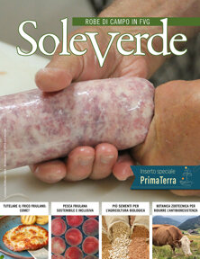 01 soleverde gennaio-febbraio 2026 copertina.jpeg