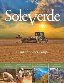 ab6107ec-e7c3-433b-bdd0-cd51af27faab