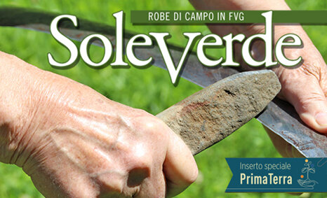 soleverde mag-giu 2026 sito.jpeg