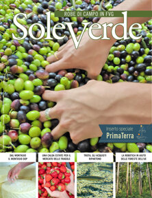 05 soleverde sett-ott 2026 copertina.jpeg