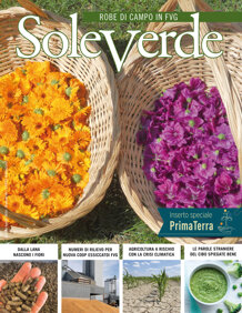 2937a120-5c67-4b71-8e26-cfa2aa12ea78