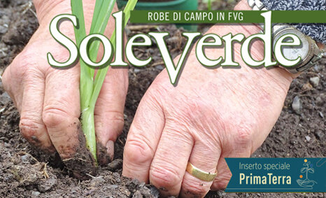 soleverde mar_apr 2026 sito.jpeg