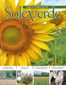 faf67c53-2e73-42ed-ab39-d02dc228a5f3