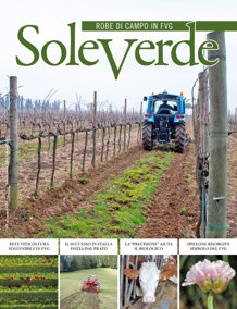 97df2c26-b9e0-4576-af49-d526579e376a